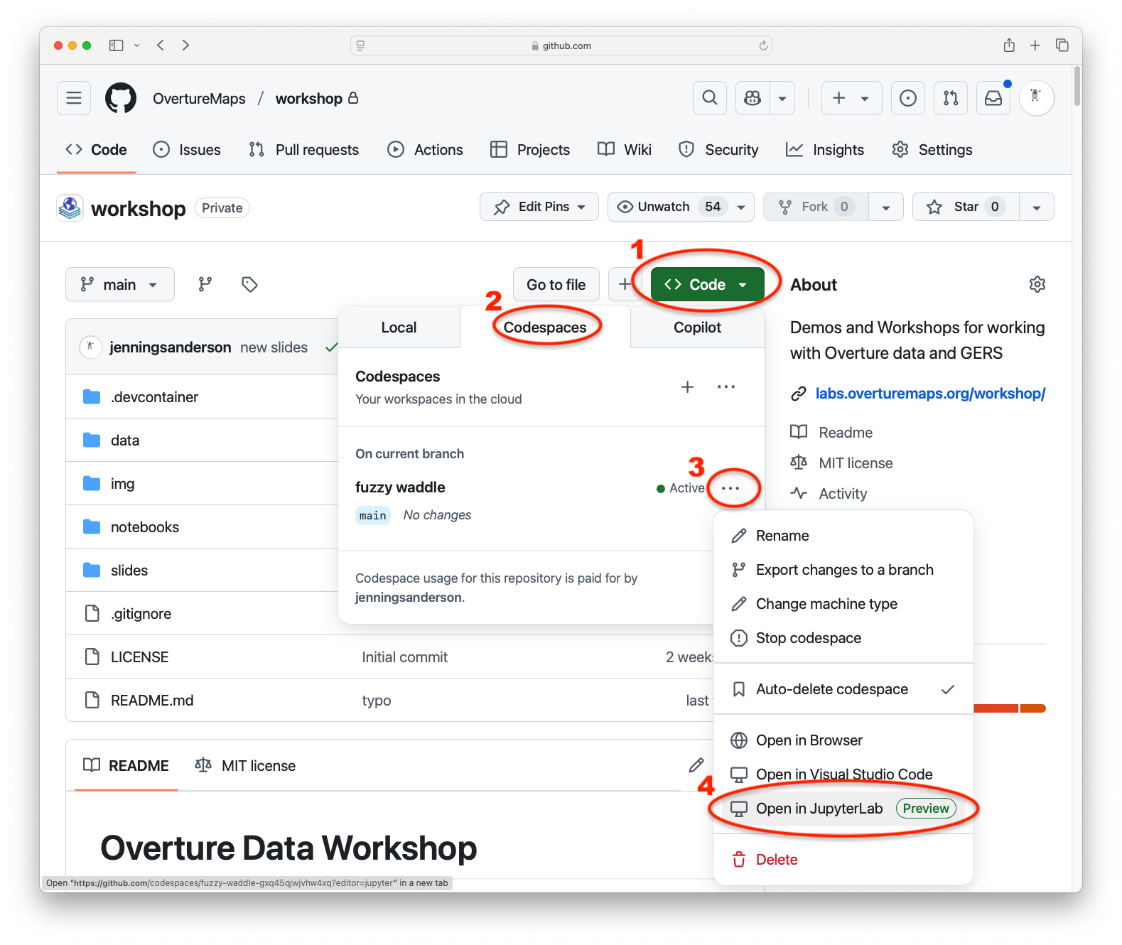 Jupyter Lab
